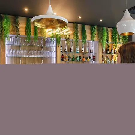 Ibis Lyon Carre De Soie 3*